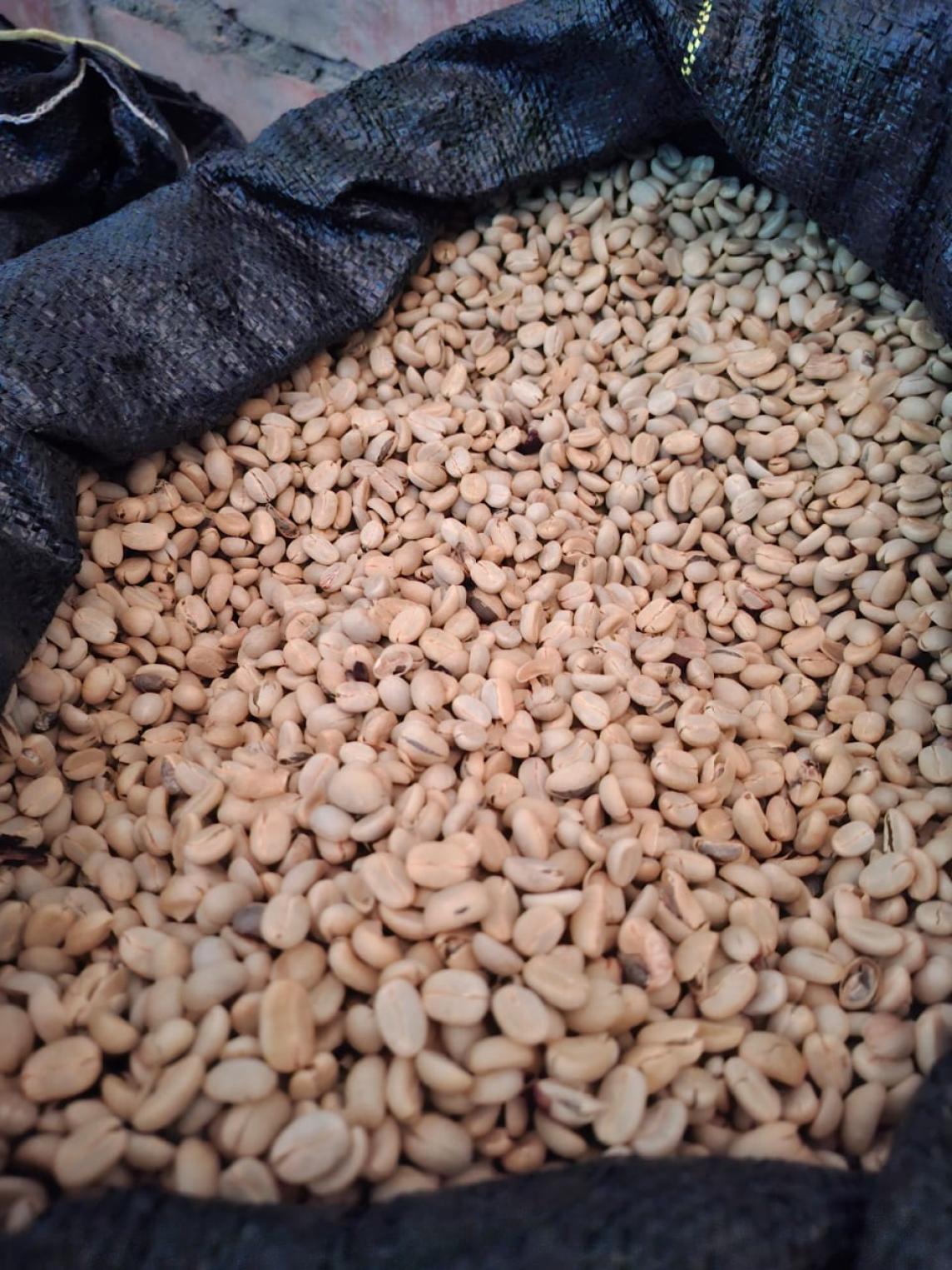 Fair Trade Coffee Beans