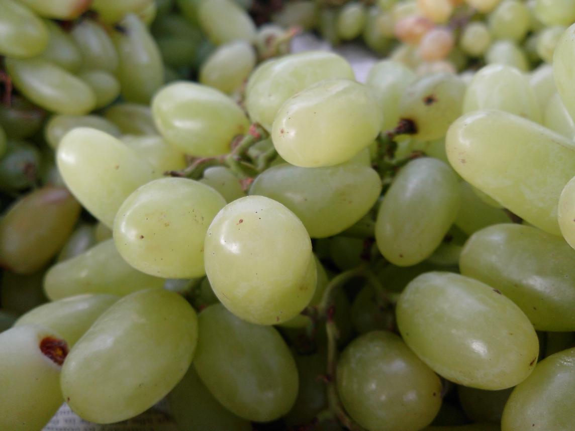 Seedless Green Grapes