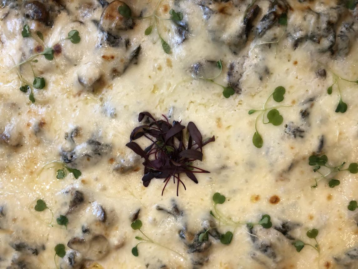 Vegetable Lasagna