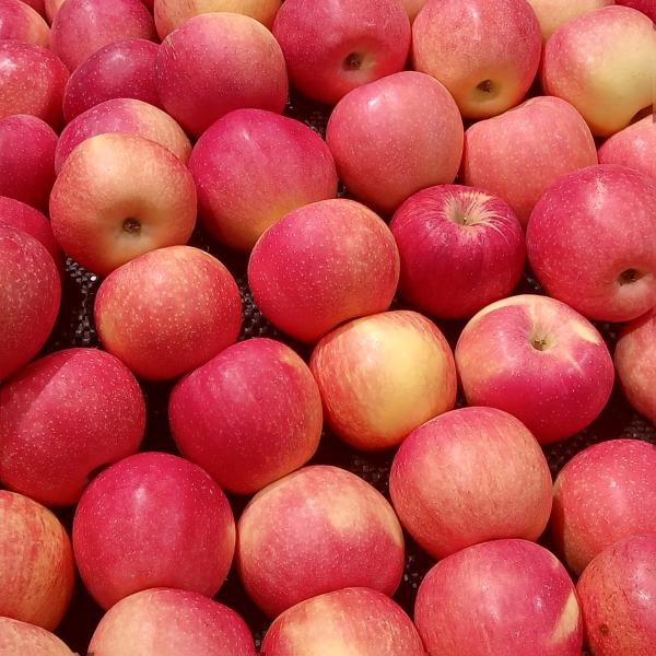 What to put in a fresh fruit basket