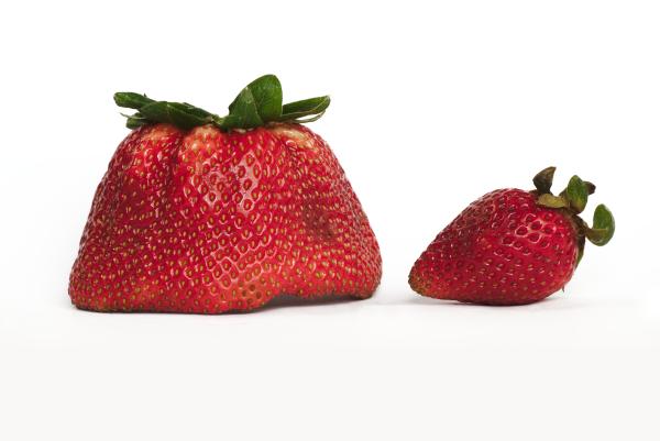 How to keep produce fresh longer