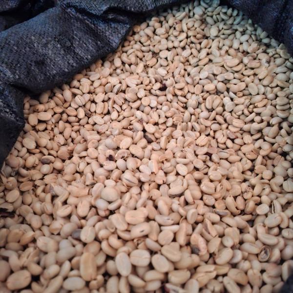Fair Trade Coffee Beans