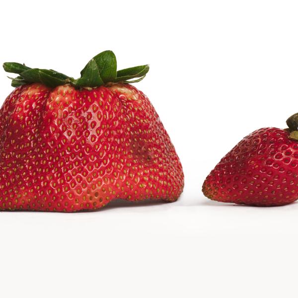 Strawberries
