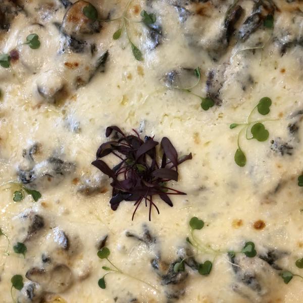Vegetable Lasagna